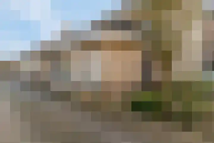 Houweg 2 Elst Ut thumbnail 55