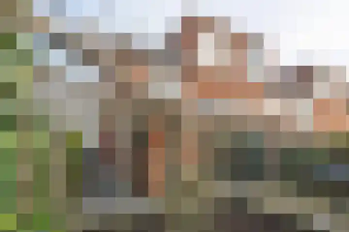 Houweg 2 Elst Ut thumbnail 6