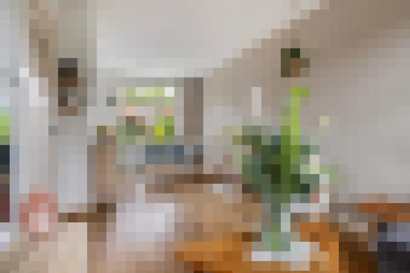 Houweningestraat 18 Dordrecht thumbnail 11
