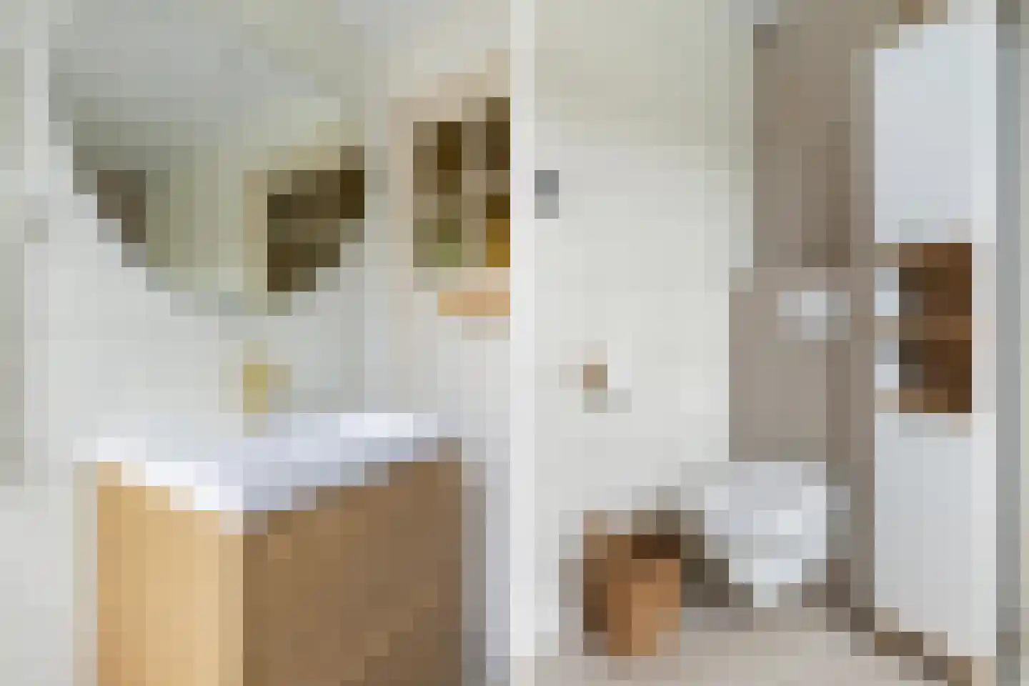 Houweningestraat 18 Dordrecht thumbnail 31