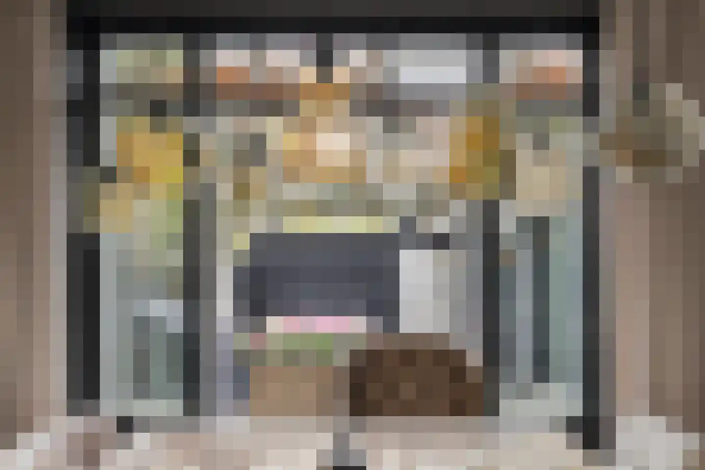 Houweningestraat 56 Dordrecht thumbnail 12