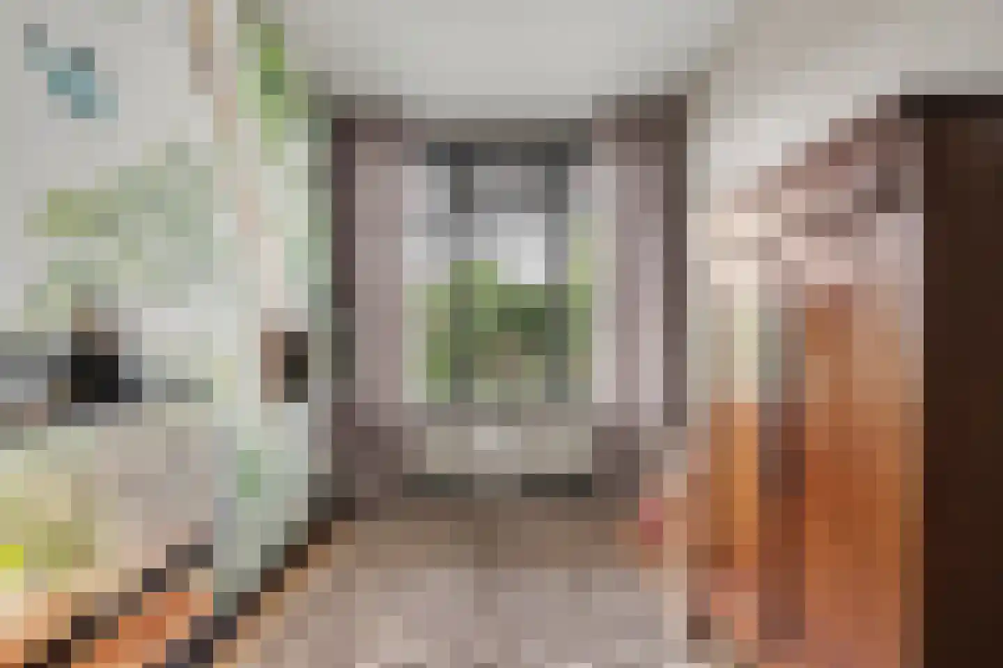 Houweningestraat 56 Dordrecht thumbnail 19