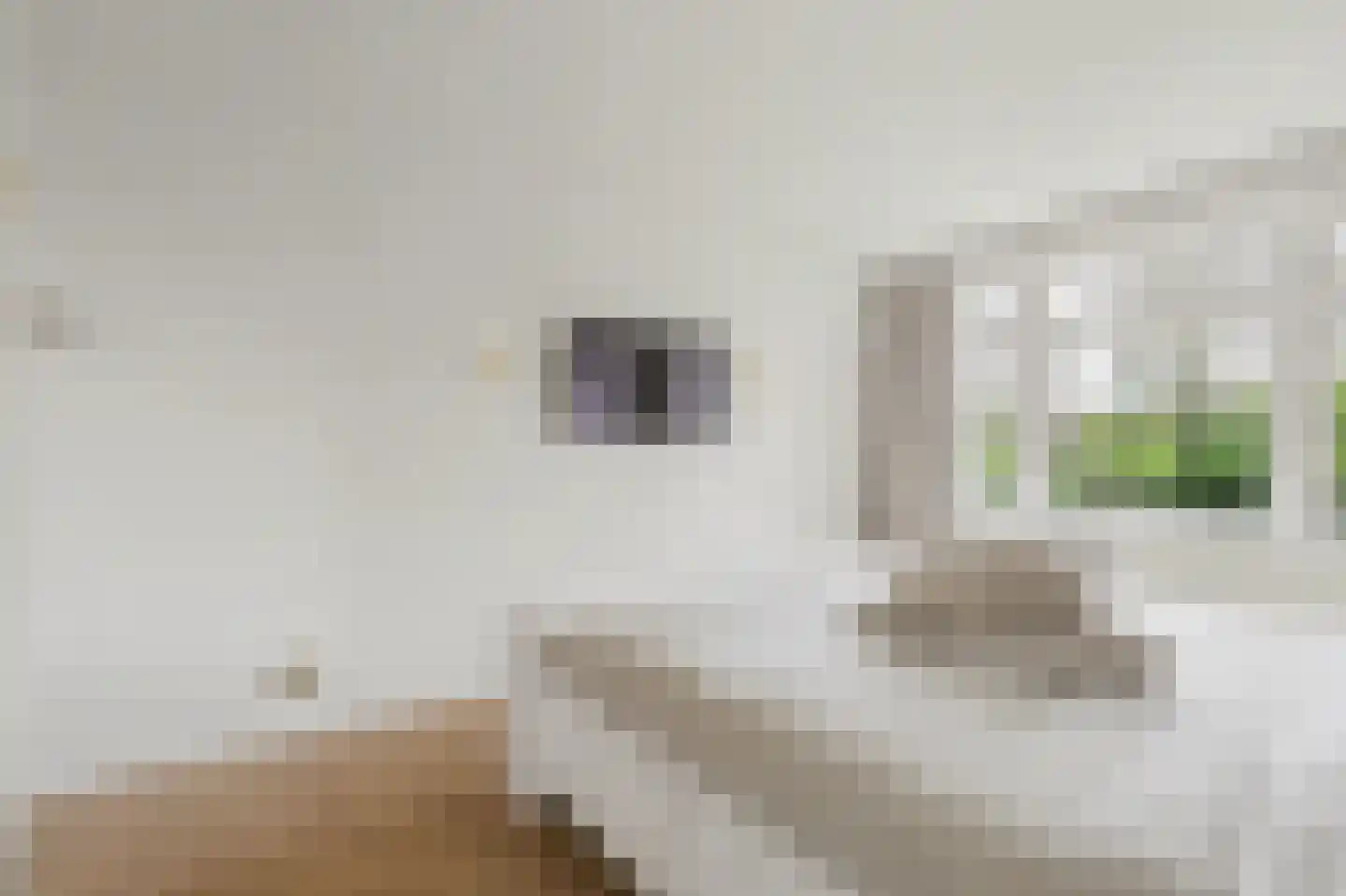 Houweningestraat 56 Dordrecht thumbnail 26