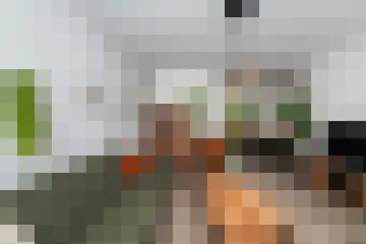 Houweningeweer 26 Hardinxveld-Giessendam thumbnail 8