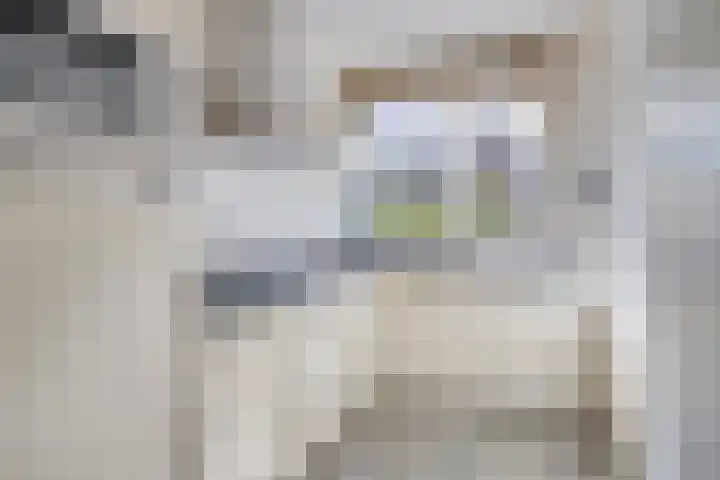 Houwer 11 Landgraaf thumbnail 11