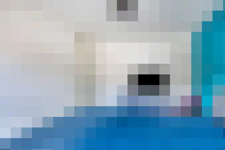 Houwer 11 Landgraaf thumbnail 16