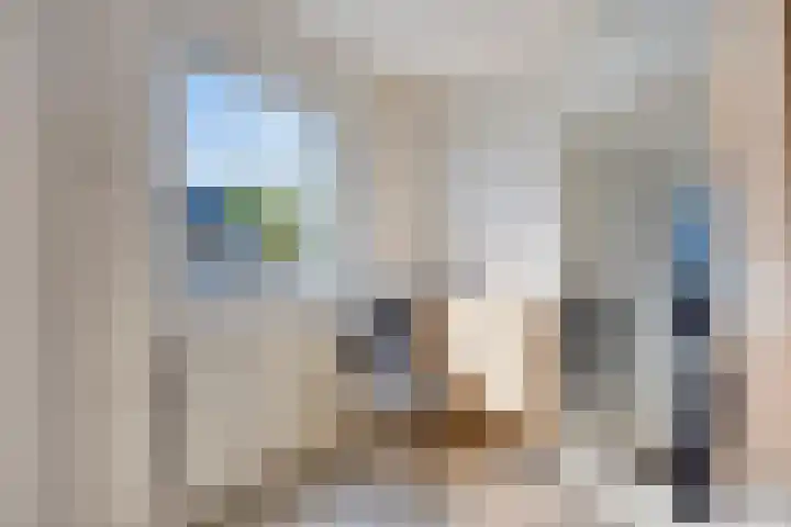 Houwer 11 Landgraaf thumbnail 18