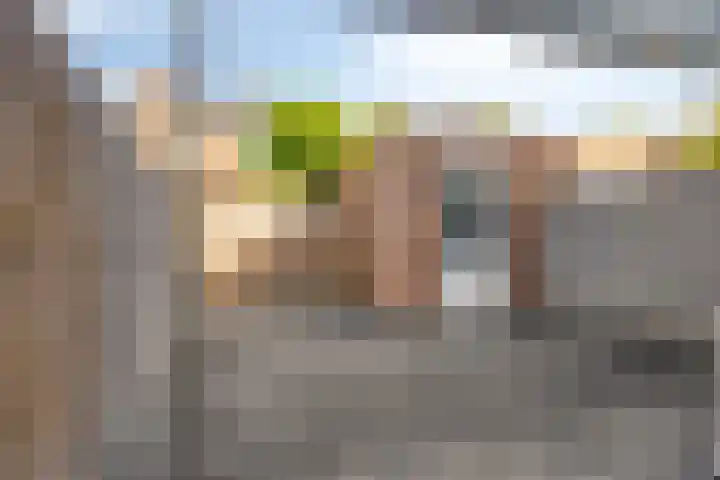 Houwer 11 Landgraaf thumbnail 22