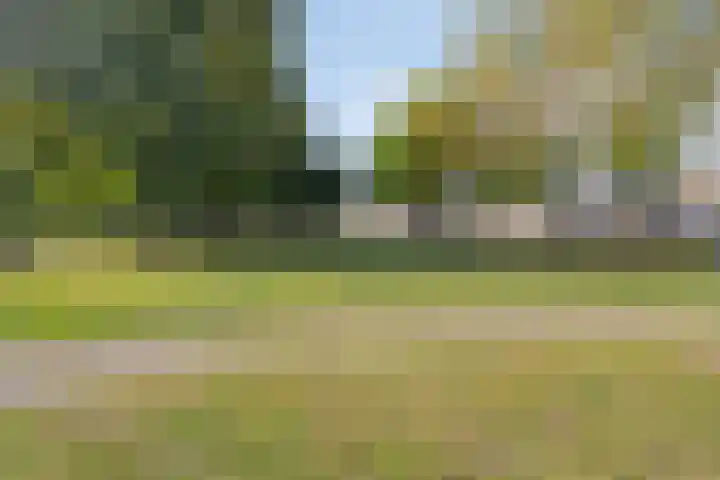 Houwer 11 Landgraaf thumbnail 26