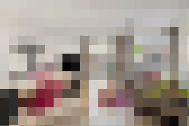 Houwer 11 Landgraaf thumbnail 6