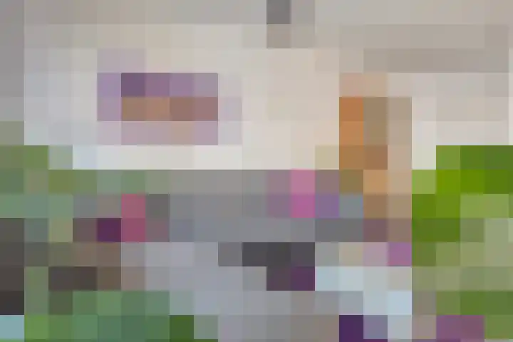 Houwer 11 Landgraaf thumbnail 9