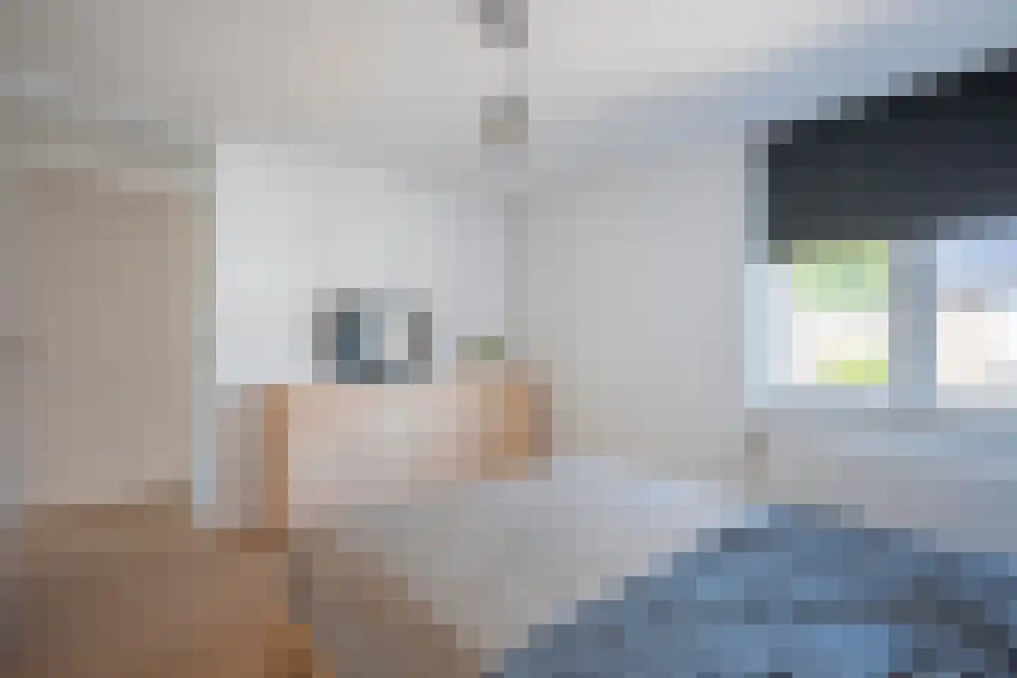 Houwer 61 Landgraaf thumbnail 24