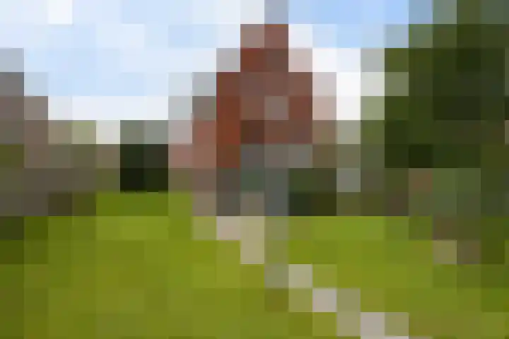 Houwerdastraat 11 Termunten thumbnail 13