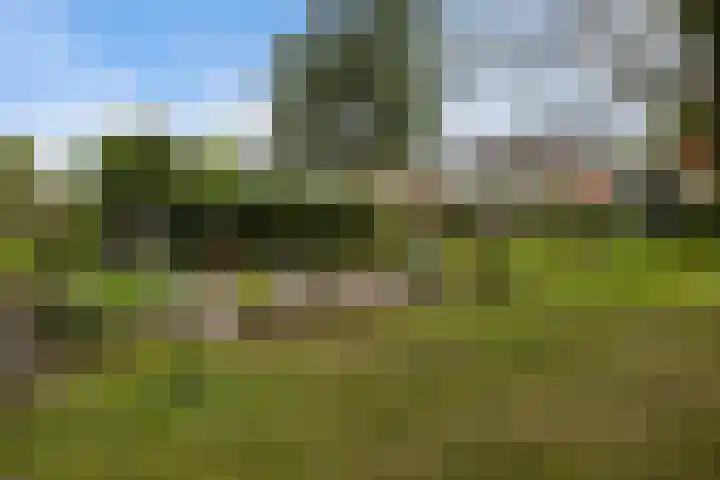 Houwerdastraat 11 Termunten thumbnail 15