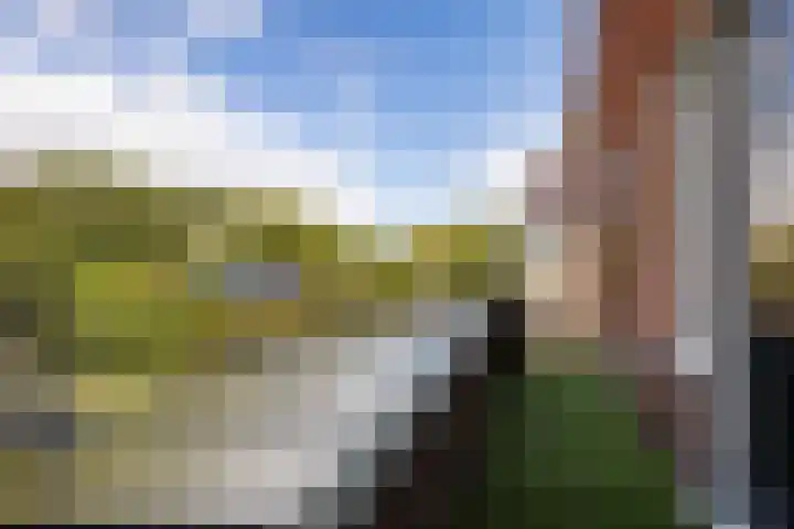 Houwerdastraat 11 Termunten thumbnail 27