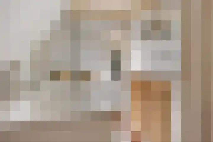 Houwerdastraat 11 Termunten thumbnail 38