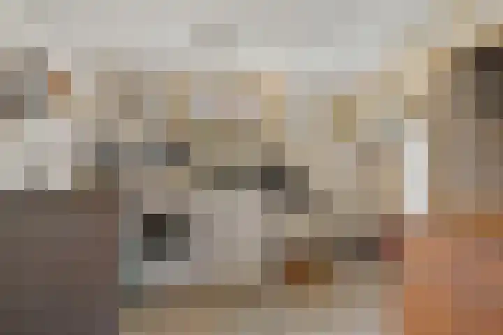 Houwerdastraat 11 Termunten thumbnail 47