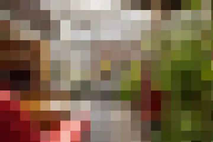 Houwerdastraat 11 Termunten thumbnail 50