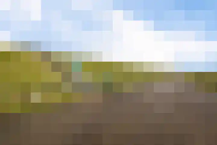 Houwerdastraat 11 Termunten thumbnail 7