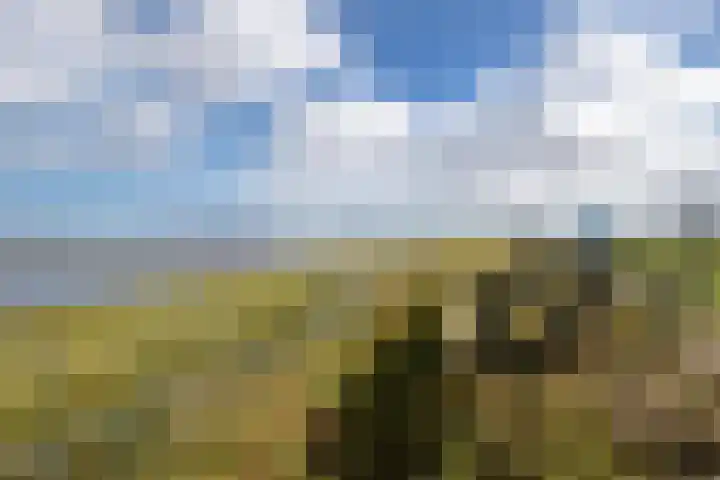 Houwerdastraat 11 Termunten thumbnail 8