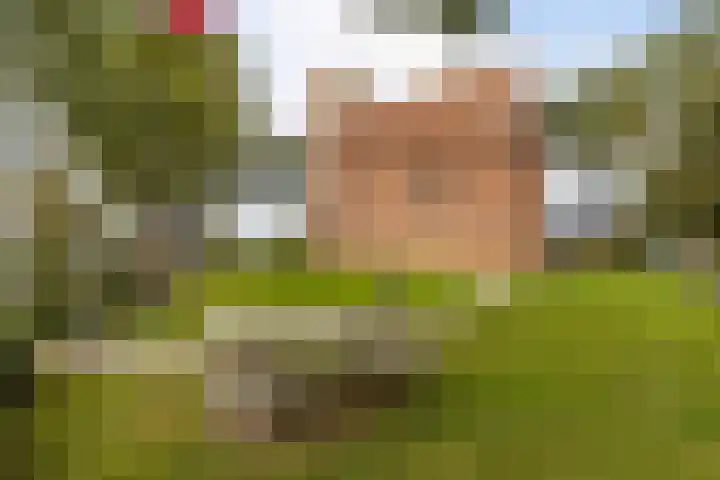 Houwerdastraat 11 Termunten thumbnail 9