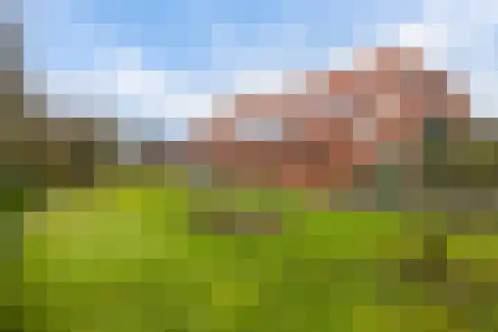 Houwerdastraat 18 Termunten thumbnail 11