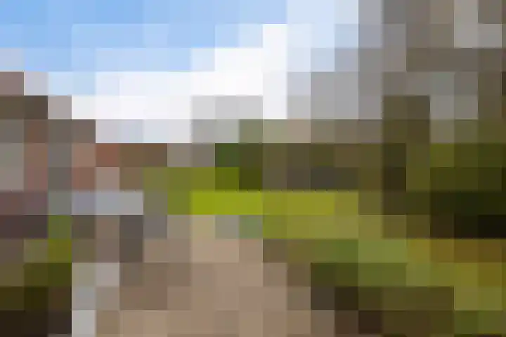 Houwerdastraat 18 Termunten thumbnail 15