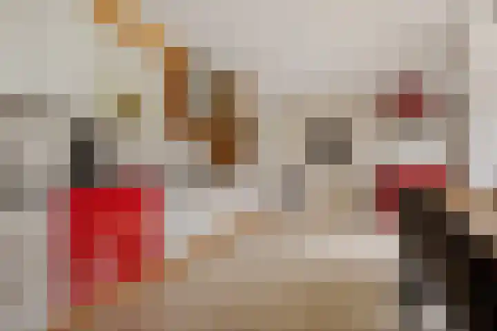 Houwerdastraat 18 Termunten thumbnail 25