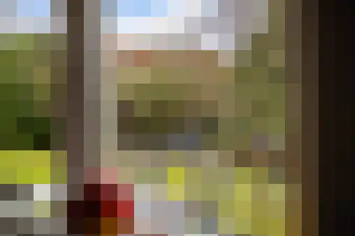 Houwerdastraat 18 Termunten thumbnail 29