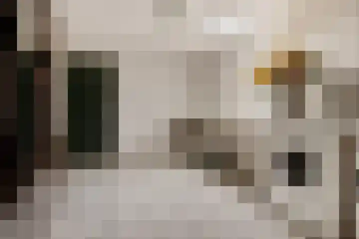 Houwerdastraat 18 Termunten thumbnail 39