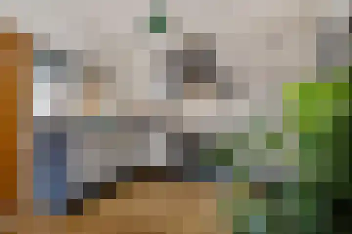 Houwerzijlstraat 12 Groningen thumbnail 17
