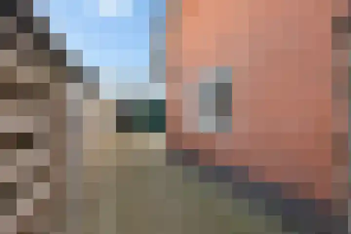 Houwerzijlstraat 12 Groningen thumbnail 45