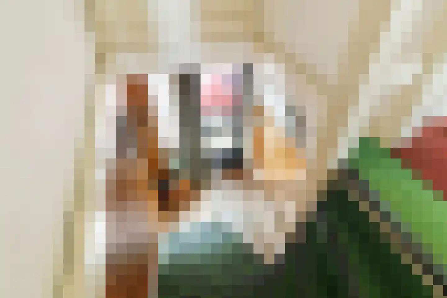 Houwerzijlstraat 14 Groningen thumbnail 21