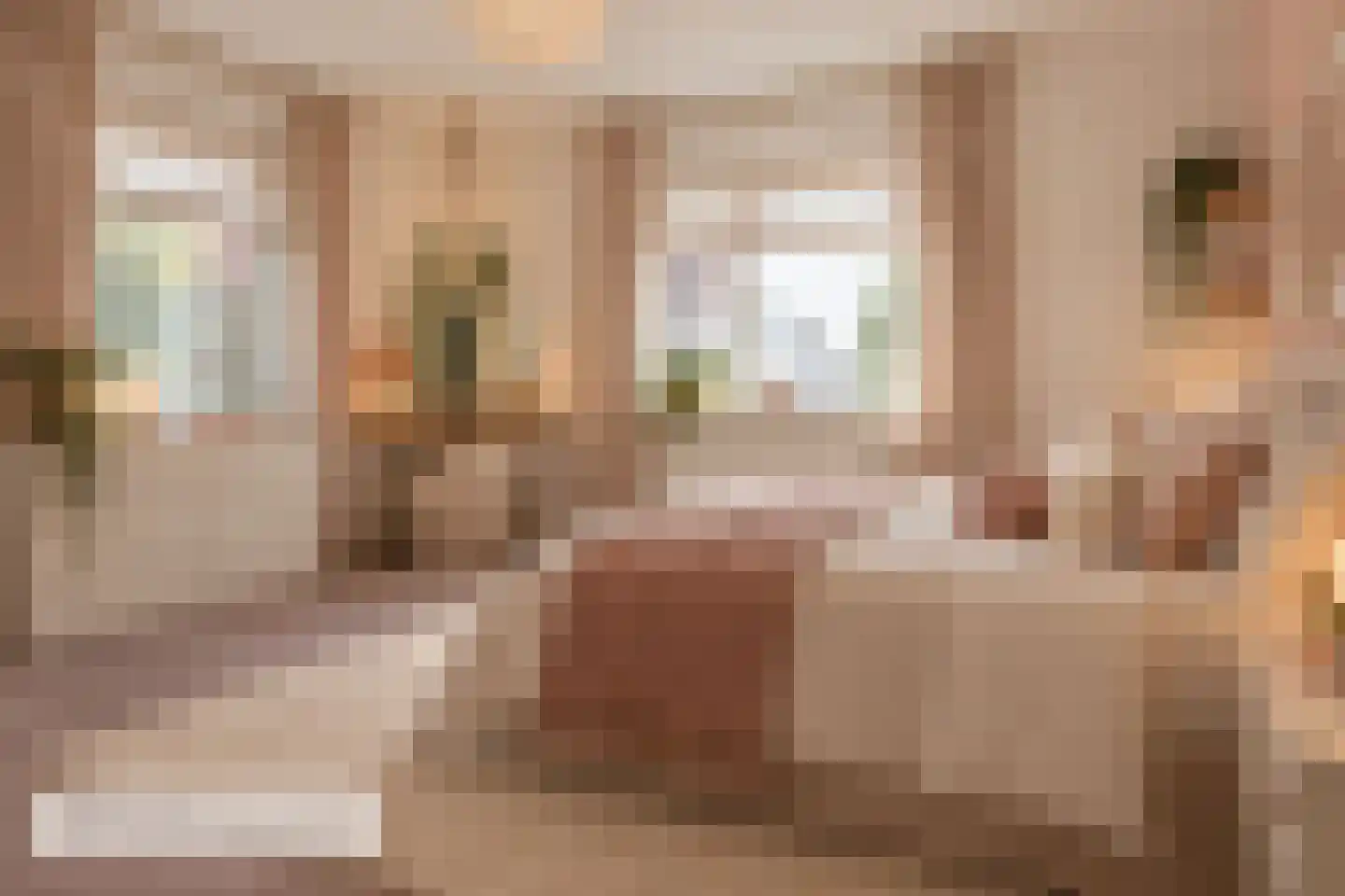Hovelincklaan 11 Leek thumbnail 50
