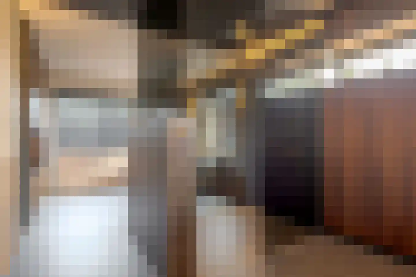 Hovelincklaan 11 Leek thumbnail 61