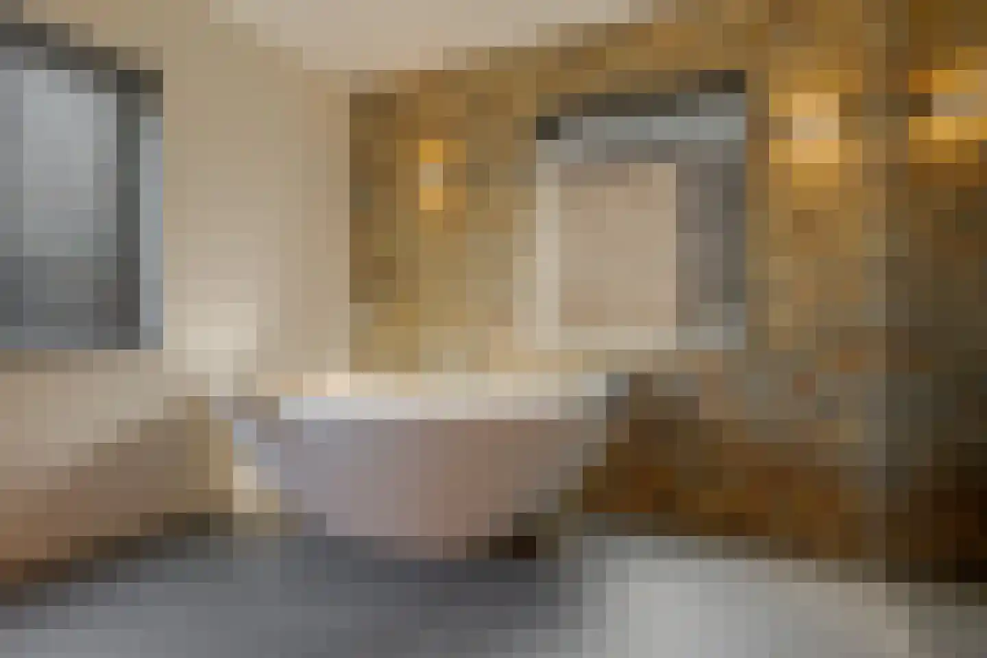 Hovelincklaan 11 Leek thumbnail 64