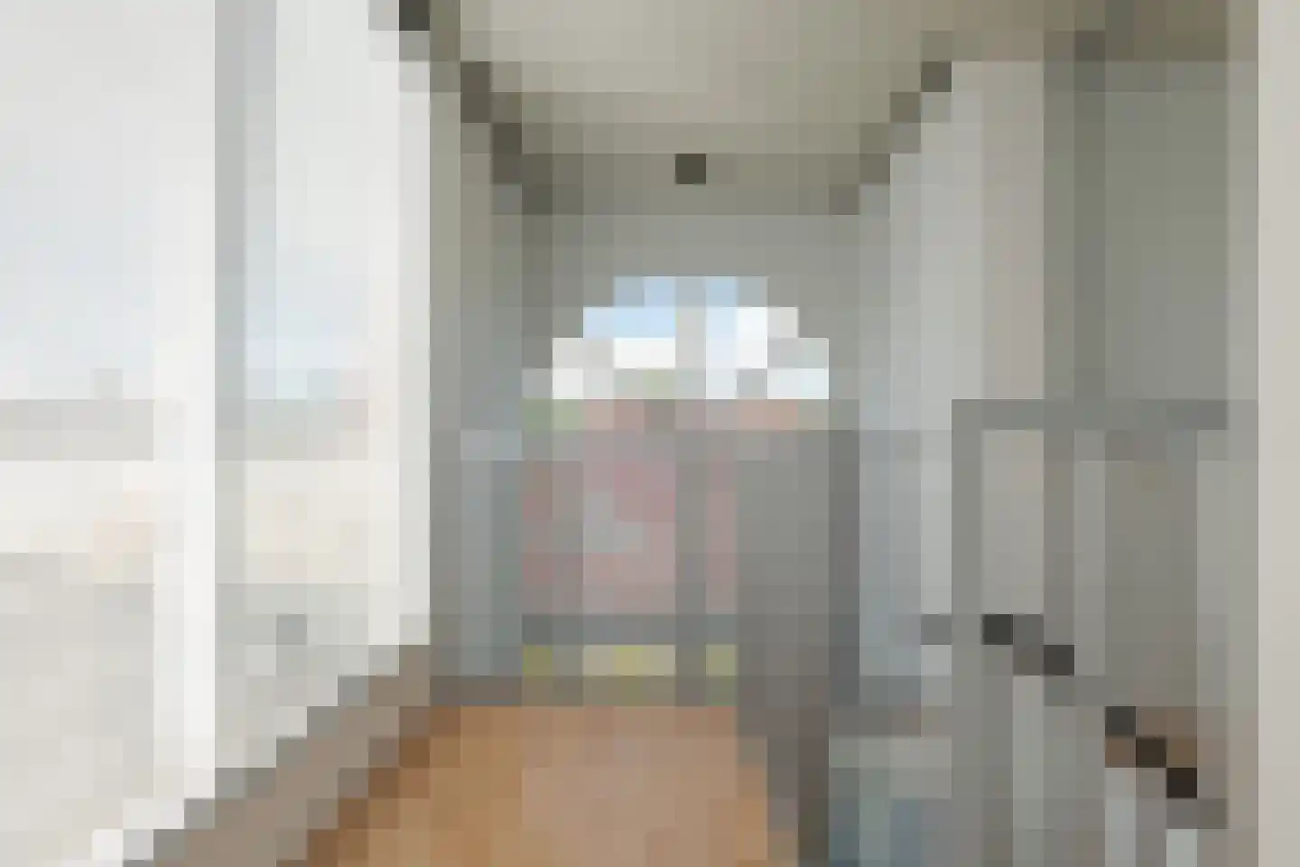 Hovelincklaan 11 Leek thumbnail 66