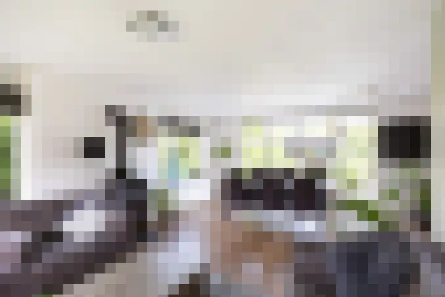 Hovelincklaan 6 Leek thumbnail 13