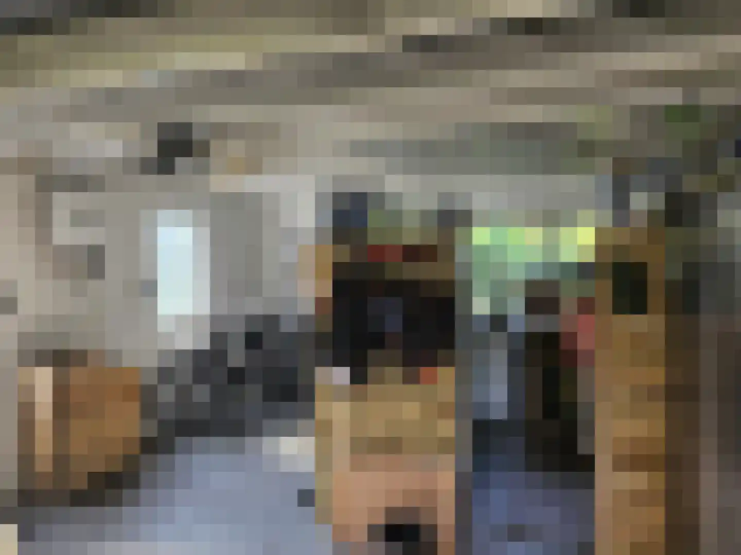 Hovelincklaan 6 Leek thumbnail 28