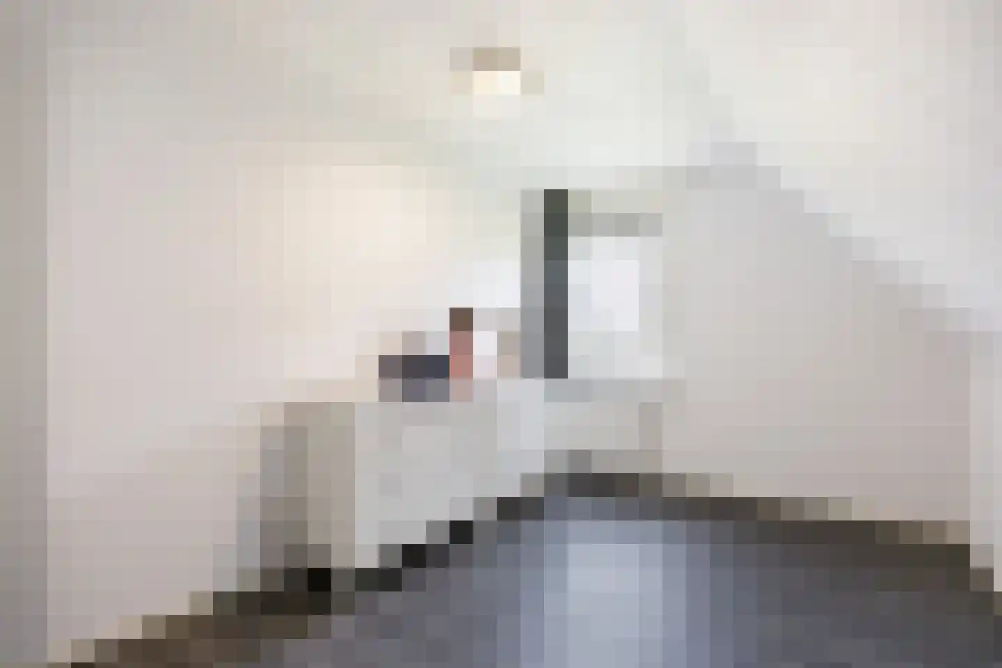 Hovelincklaan 6 Leek thumbnail 34