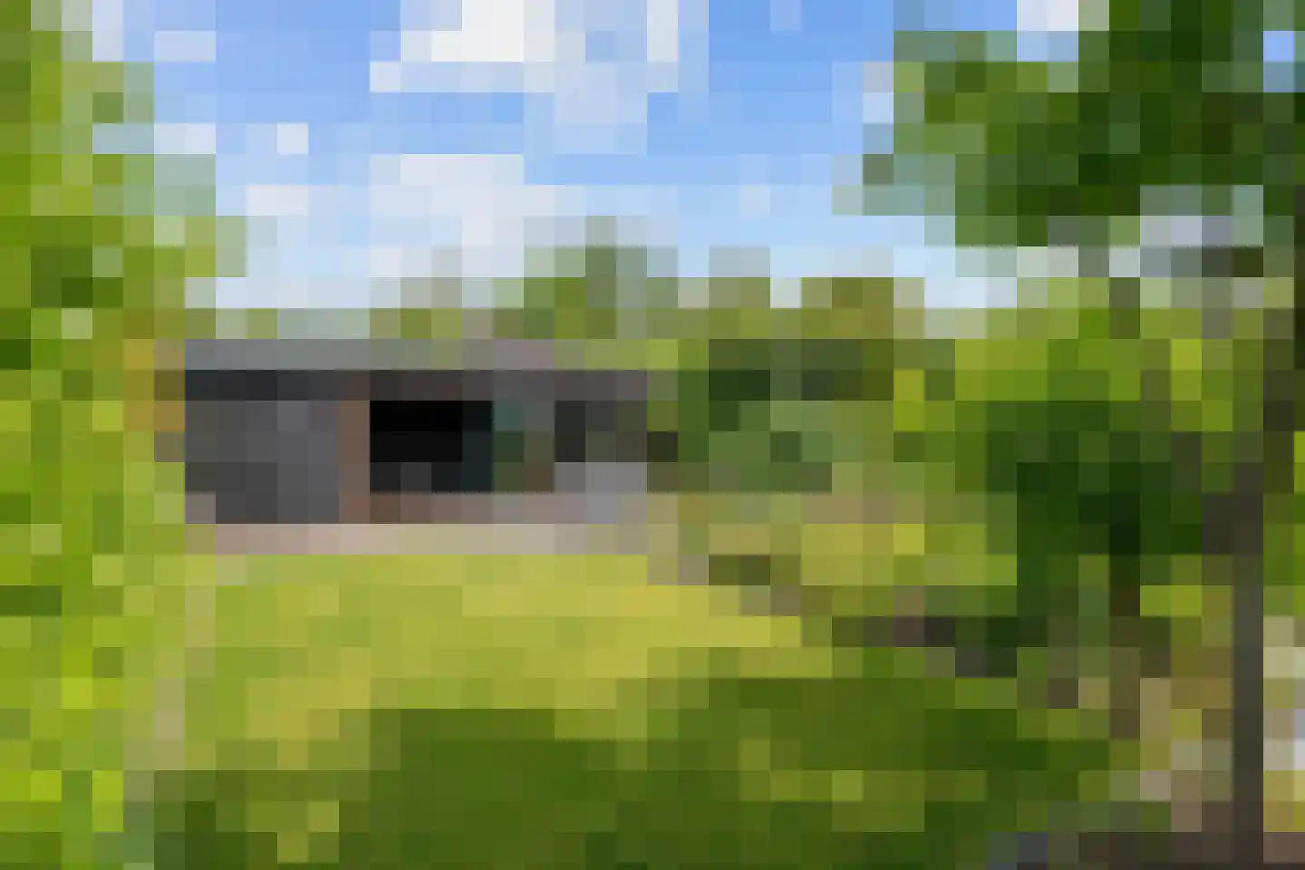 Hovelincklaan 6 Leek thumbnail 49