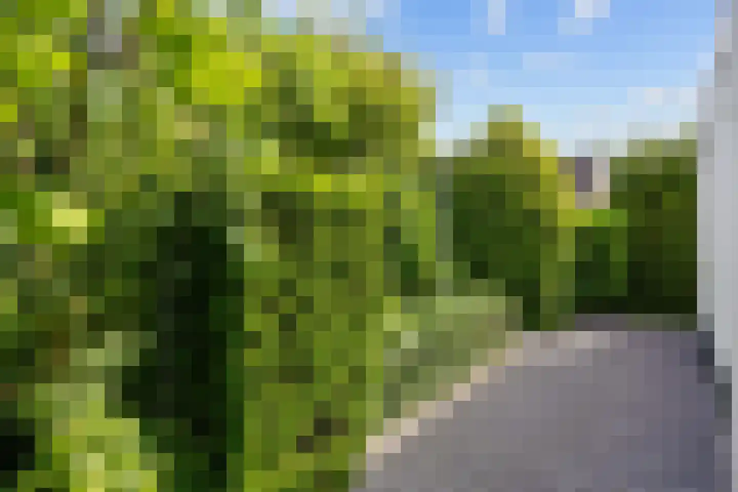 Hovelincklaan 6 Leek thumbnail 55