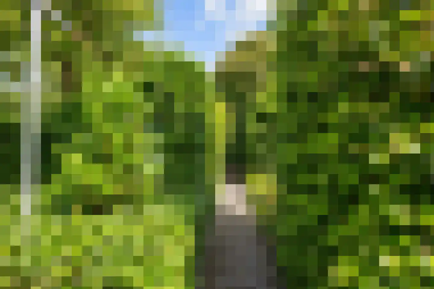 Hovelincklaan 6 Leek thumbnail 56