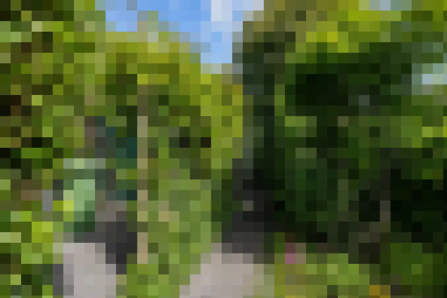 Hovelincklaan 6 Leek thumbnail 57