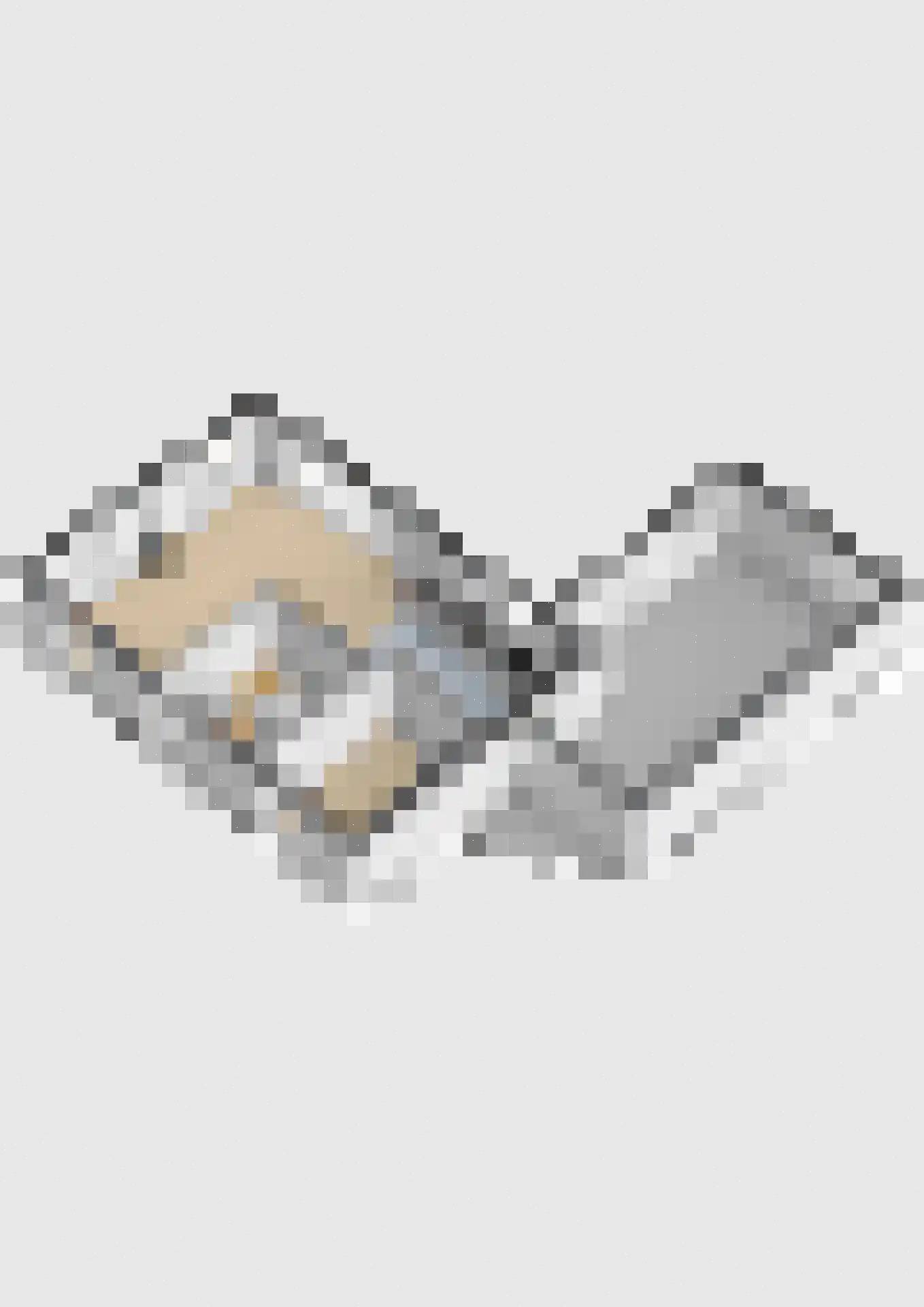 Hovelincklaan 6 Leek thumbnail 67