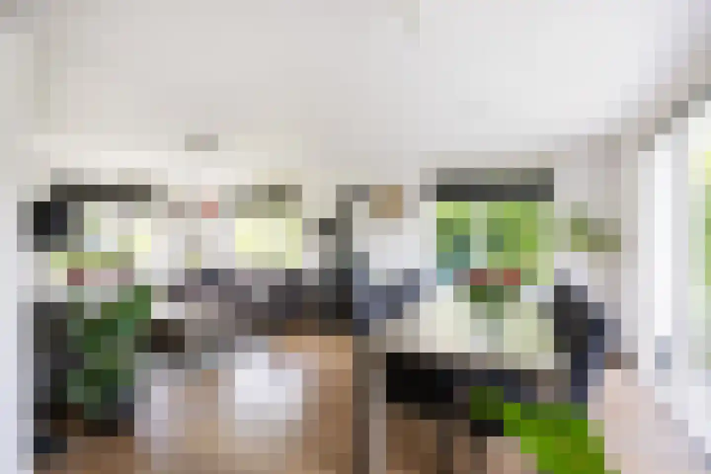 Hovelincklaan 6 Leek thumbnail 9