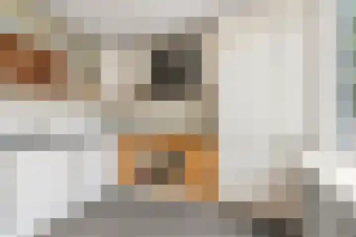 Hövelstraat 2 Beek thumbnail 16