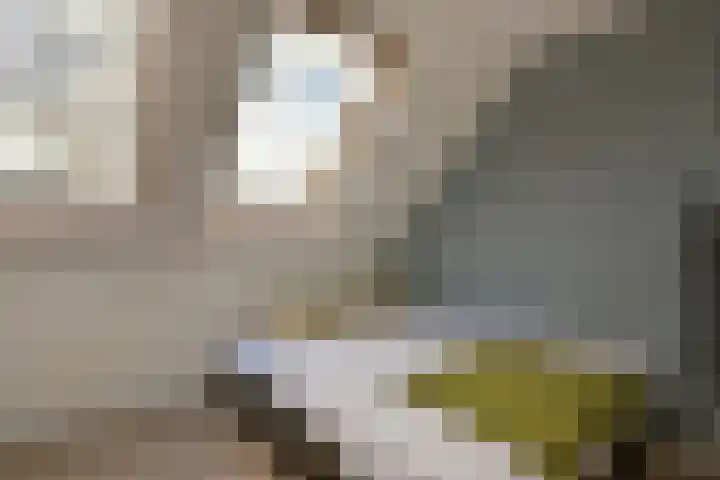 Hövelstraat 2 Beek thumbnail 19