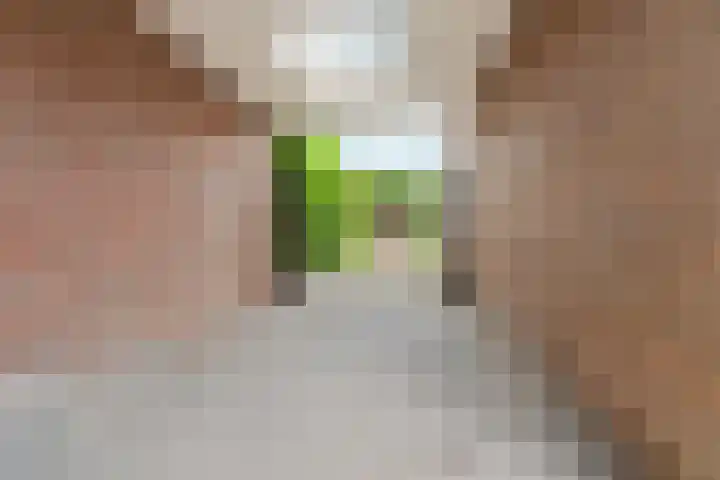 Hövelstraat 2 Beek thumbnail 39