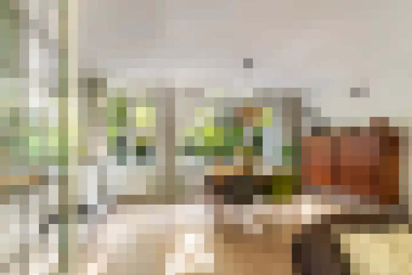 Hovendaal 20 Rotterdam thumbnail 18
